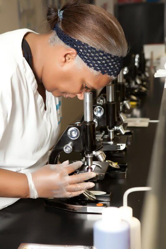 Externship